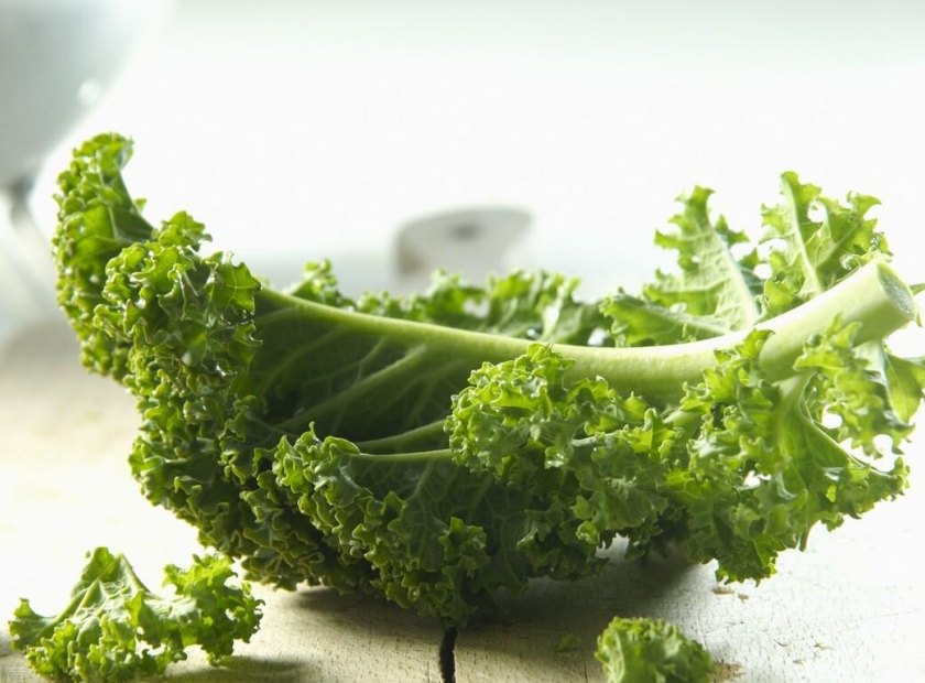 羽衣甘蓝压榨脱水机处理视频