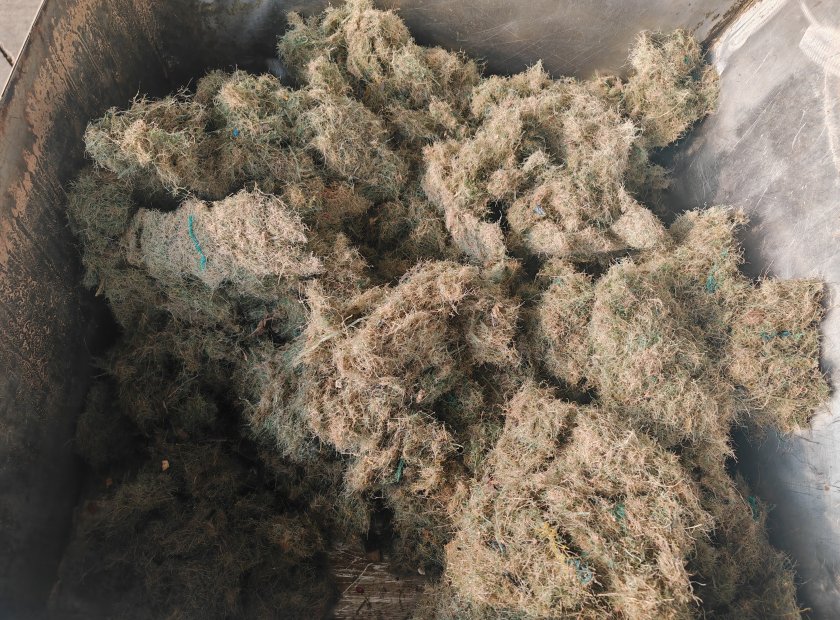 螺旋压榨机处理渔网脱水试机视频