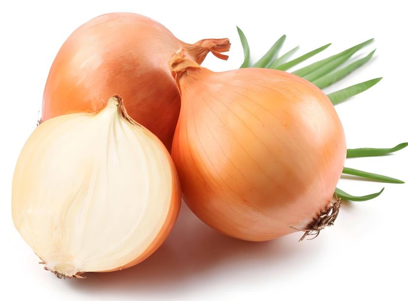 螺旋压榨机处理洋葱脱水试机视频