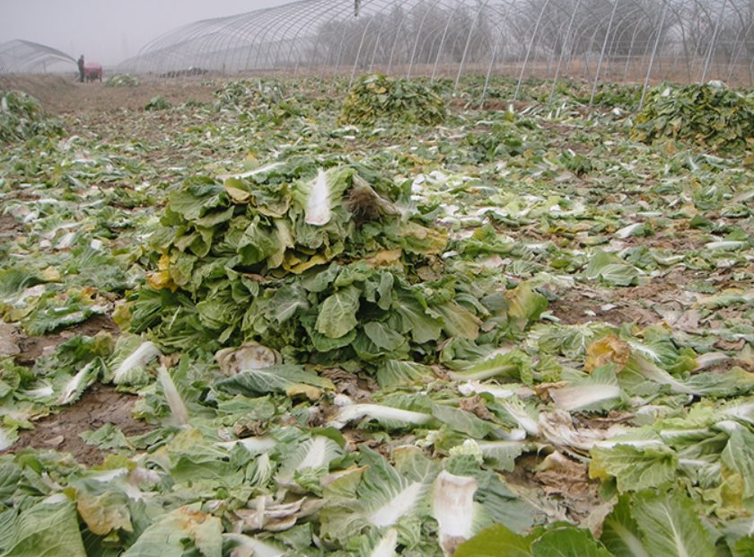 螺旋压榨脱水机