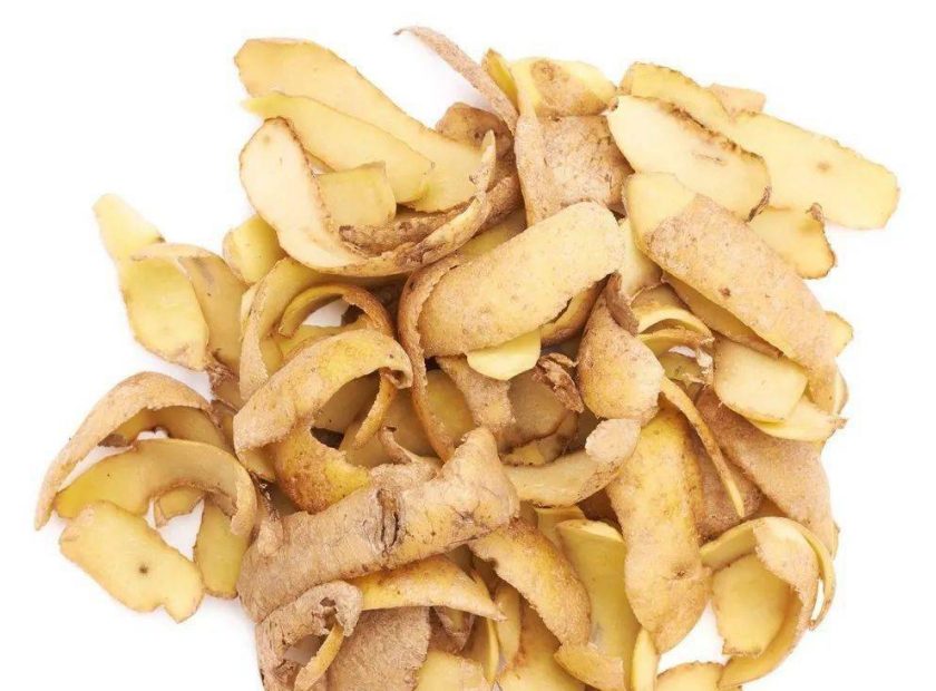 土豆皮废渣螺旋压榨脱水处理机器视频