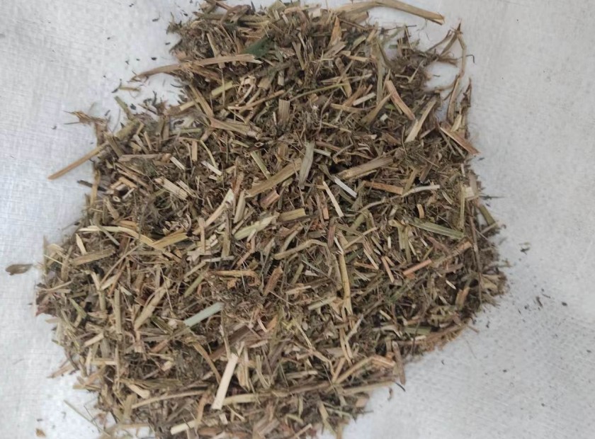 螺旋压榨机处理苜蓿草脱水处理视频