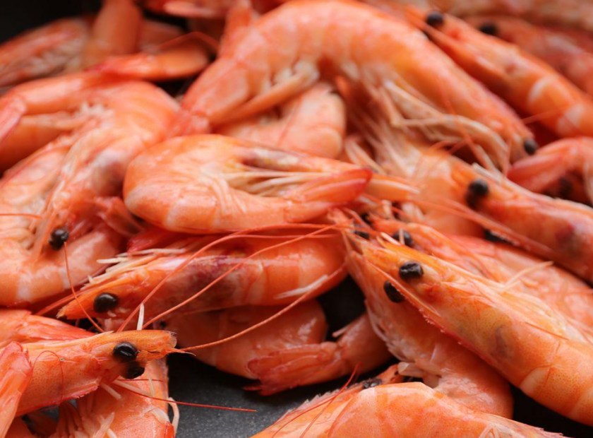 明虾壳螺旋压榨脱水固液分离机