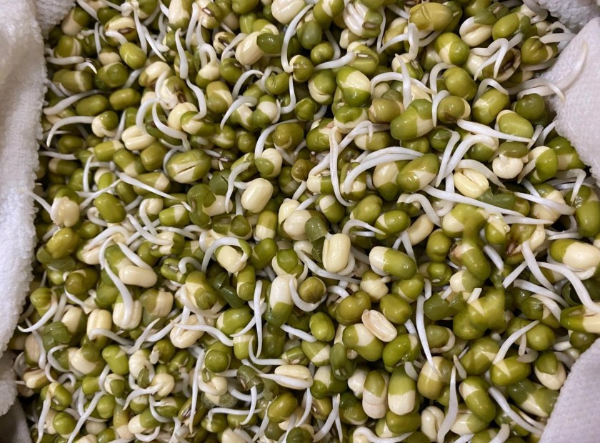 绿豆芽壳废渣螺旋压榨脱水处理机器