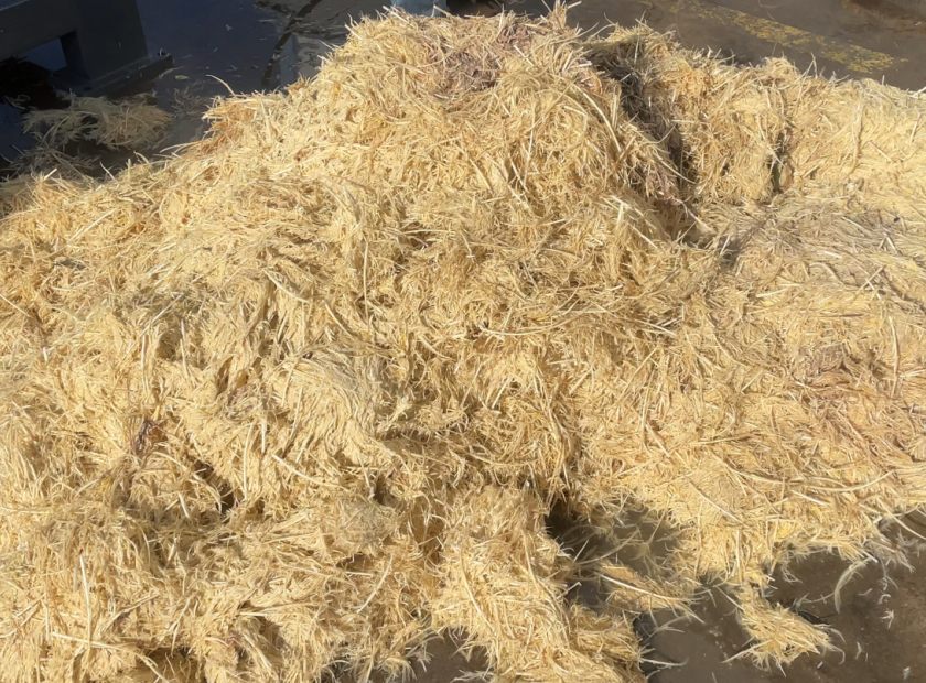 鸡毛屠宰废弃物螺旋压榨脱水处理机器