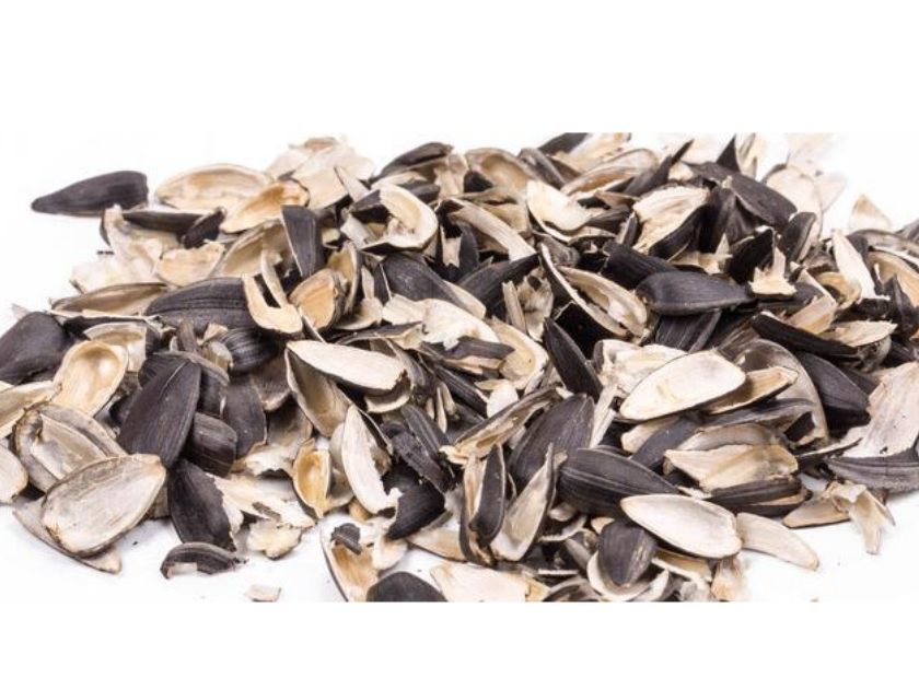 瓜子壳薄膜螺旋压榨脱水处理视频