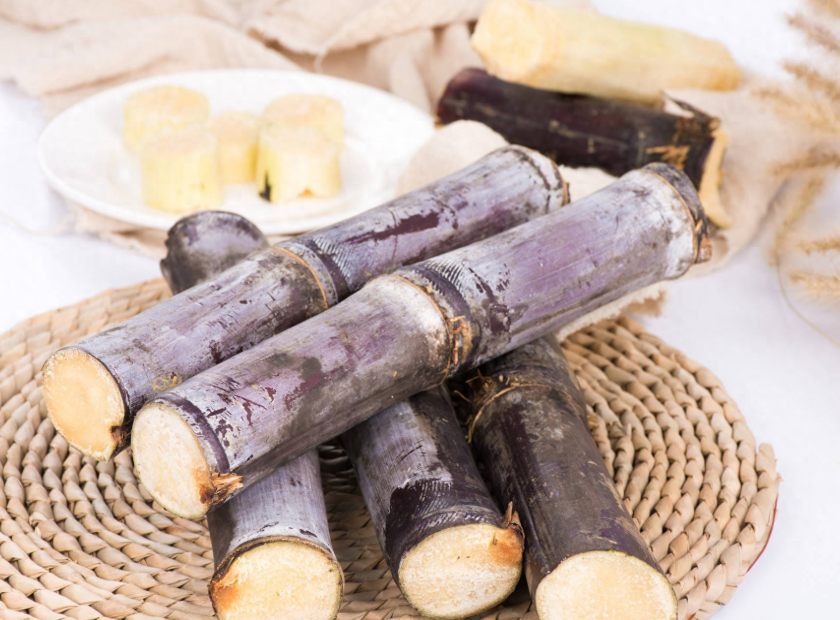 甘蔗压榨脱水榨汁固液分离处理视频