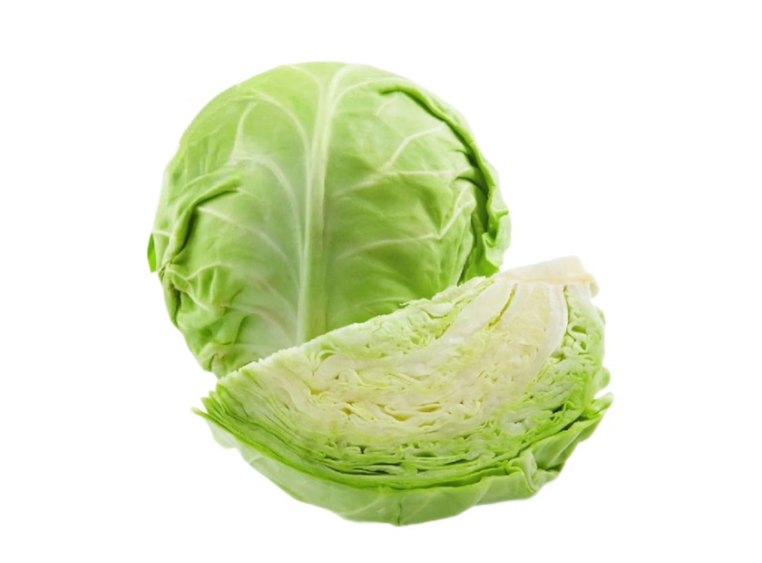 甘蓝压榨脱水机处理视频