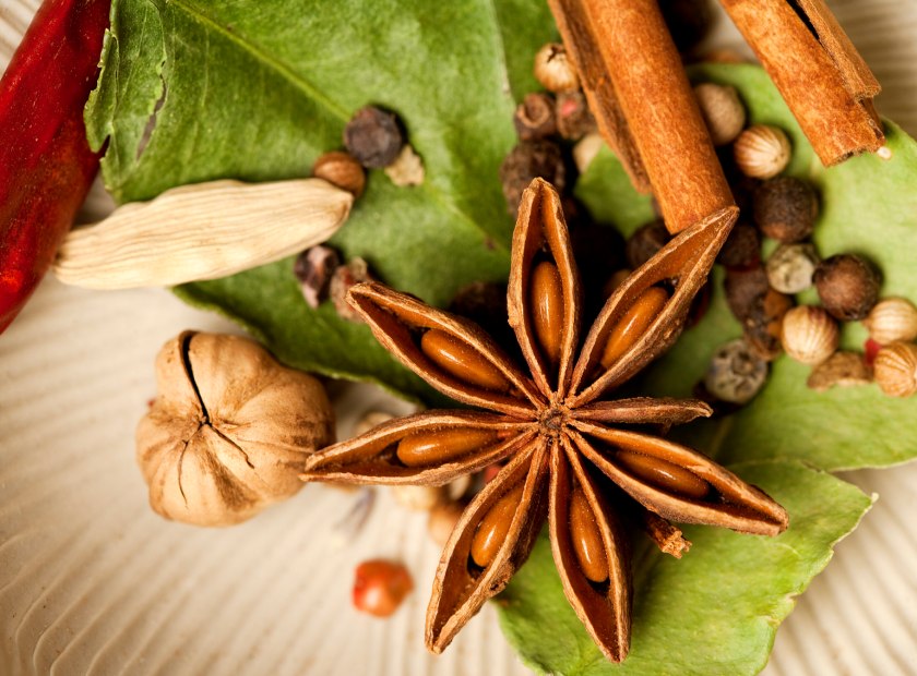 调料大料渣螺旋压榨脱水处理视频