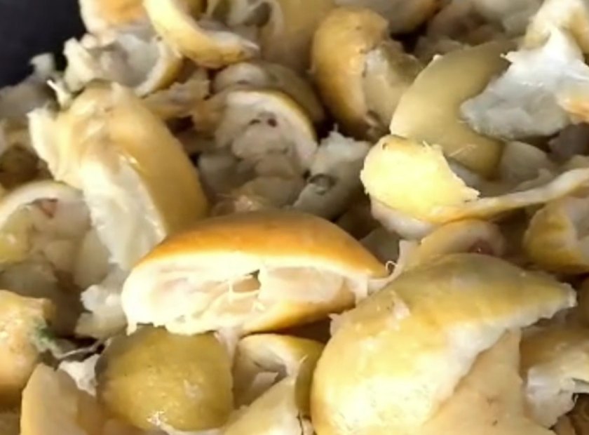 橙子皮螺旋压榨脱水处理机器视频