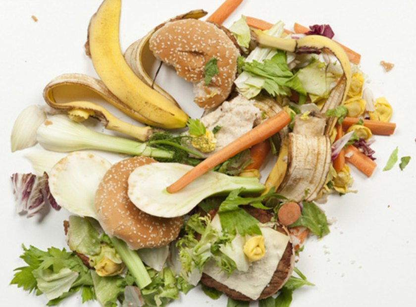 餐厨余垃圾处理设备脱水机器视频