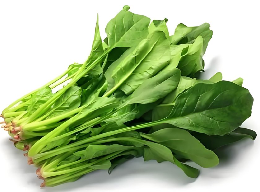 蔬菜菠菜压榨脱水处理机器视频