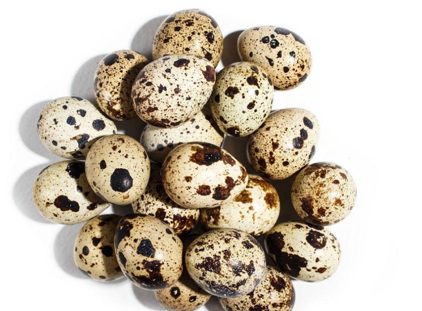 鹌鹑蛋壳螺旋压榨脱水处理机器视频